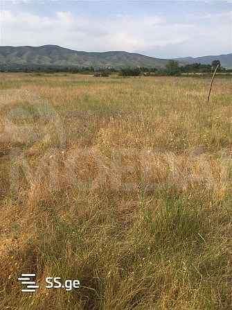 A plot of land in Tserovani is for sale Tbilisi - photo 2