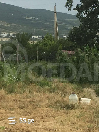 A plot of land in Tserovani is for sale Tbilisi - photo 3