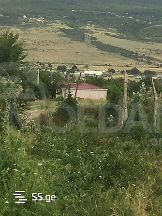 Продается земельный участок в Церовани Тбилиси - изображение 1