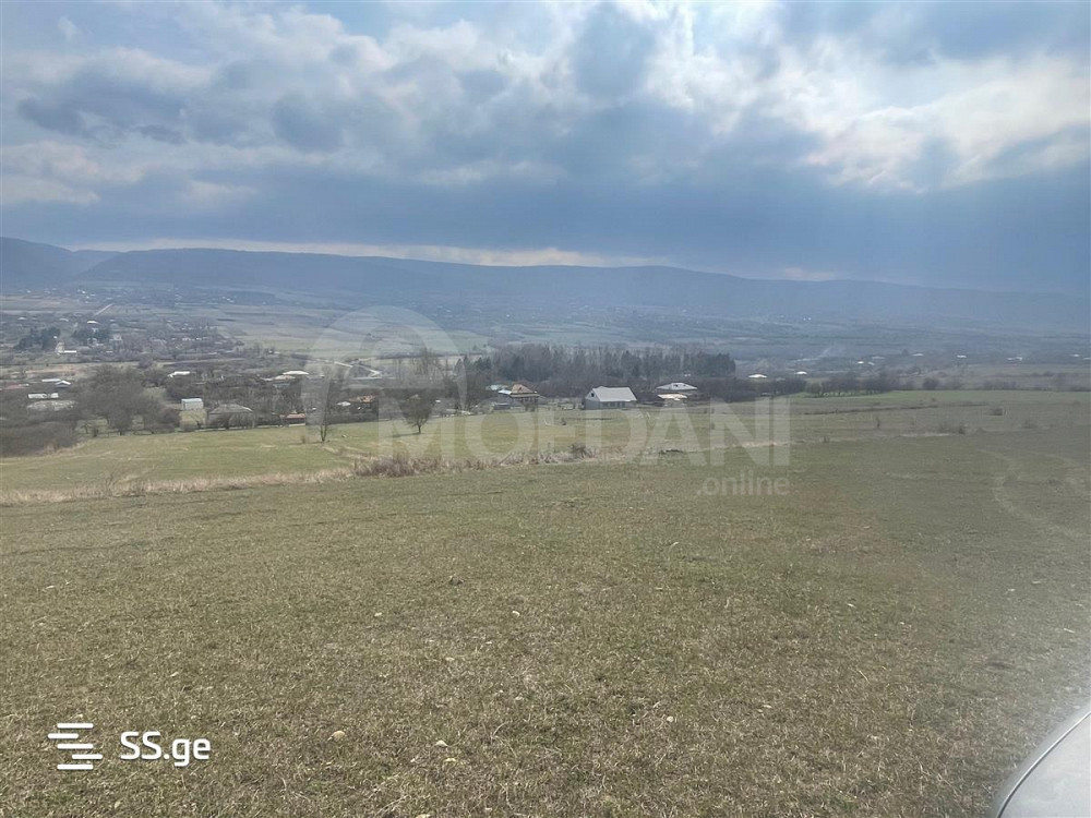 Продам земельный участок 4000м² Тбилиси - изображение 3