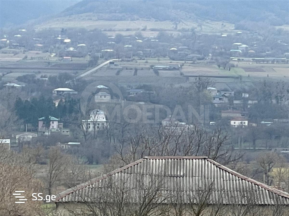 Продам земельный участок 4000м² Тбилиси - изображение 4