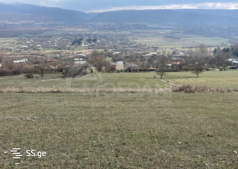 Продам земельный участок 4000м² Тбилиси - изображение 5