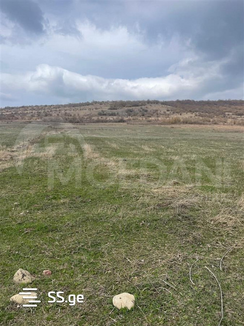 Продам земельный участок 4000м² Тбилиси - изображение 2