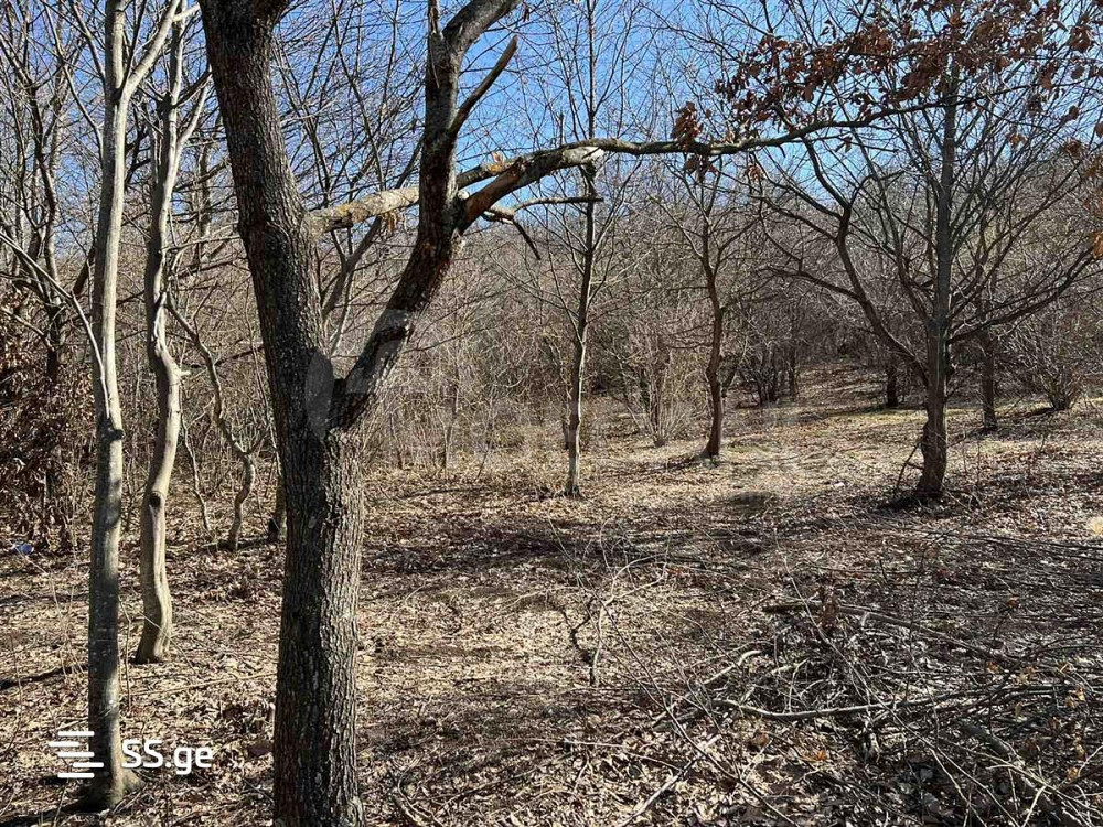 Продам земельный участок 2300м² Тбилиси - изображение 5