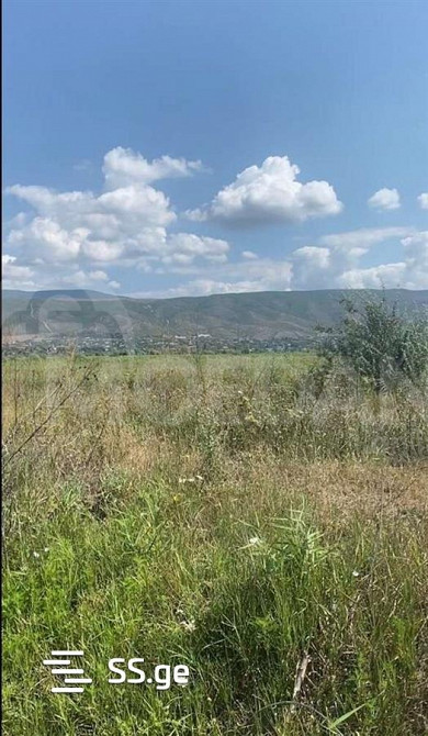 Продам земельный участок 6000м² Тбилиси - изображение 1