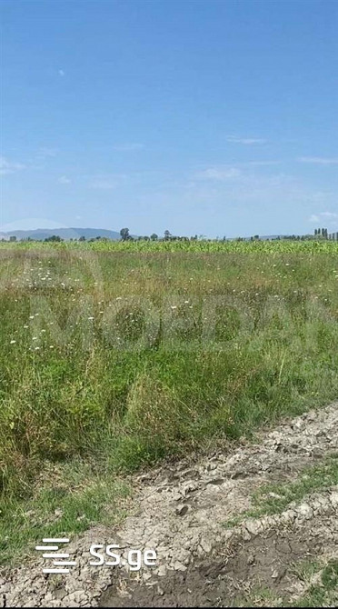 Продам земельный участок 6000м² Тбилиси - изображение 2