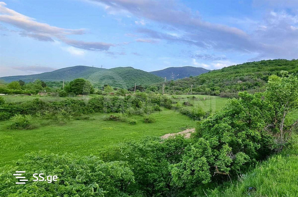 Продам земельный участок 570м² Тбилиси - изображение 2