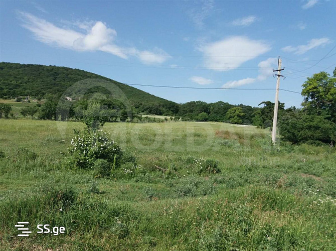 Продается земельный участок в Сакрамуло Тбилиси - изображение 3