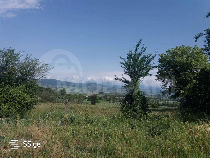 Продается земельный участок в Сакрамуло Тбилиси - изображение 2
