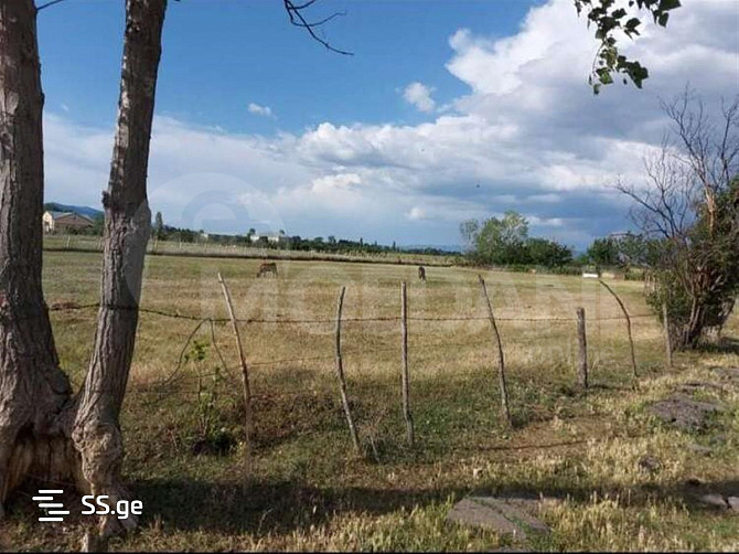 A plot of land in Mukhrovani is for sale Tbilisi - photo 2