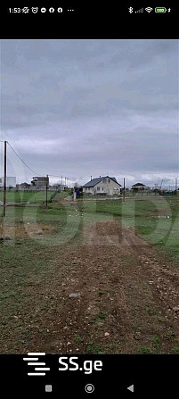 A plot of land in Tabakhmela is for sale Tbilisi - photo 4