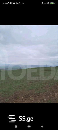 Продается земельный участок в Табахмела Тбилиси - изображение 3
