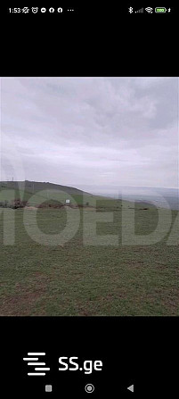 Продается земельный участок в Табахмела Тбилиси - изображение 1