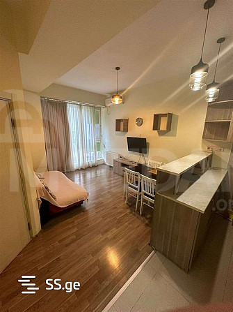 2-room apartment for rent in Saburtalo Tbilisi - photo 8