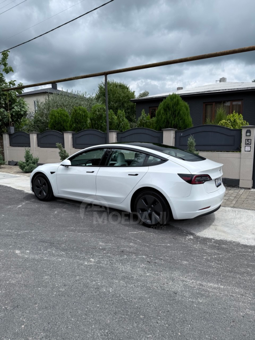 Tesla Model 3 2021 ზუგდიდი - photo 3