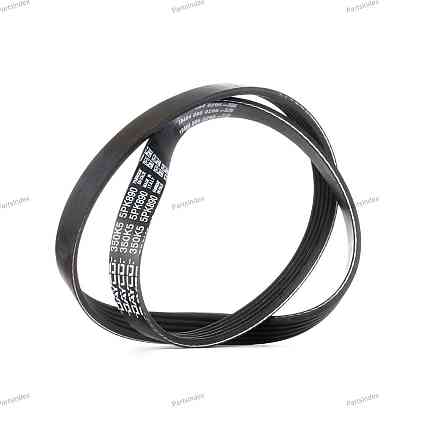 V-Ribbed Belt Dayco 5PK890 Tbilisi