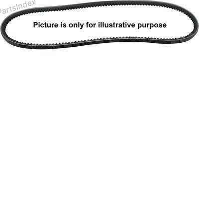 V-Ribbed Belt Jp group 1118000603 Tbilisi