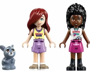 Ლეგო Lego Constructor Friends Heartlake City Ice Cream Van თბილისი