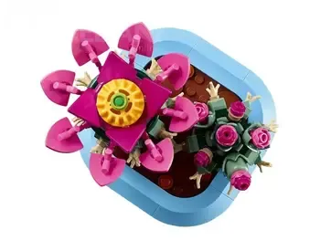 Lego Constructor Botanicals Flowering Cactus Tbilisi - photo 1