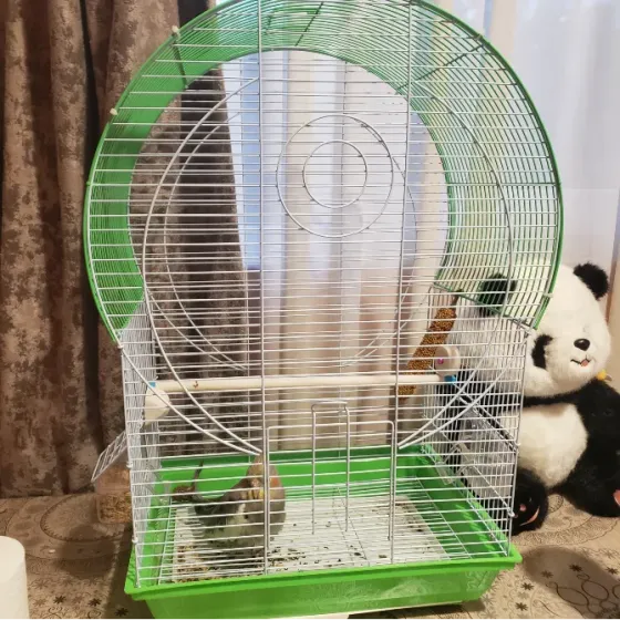 Холера Тбилиси