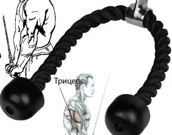 We offer a triceps training rope, which is an indispensable tool for your fitness routine. Tbilisi