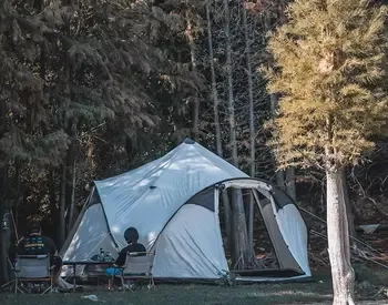 Chanodug Sports House — это инновационный магазин высококачественного спортивного оборудования. Тбилиси