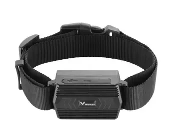 4G GPS ტრეკერს, რომელიც განკუთვნილია როგორც ცხოველების, ისე ტრანსპორტის გადაადგილების კონტროლისთვის თბილისი