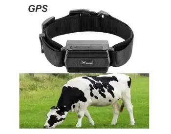 4G GPS ტრეკერს, რომელიც განკუთვნილია როგორც ცხოველების, ისე ტრანსპორტის გადაადგილების კონტროლისთვის თბილისი