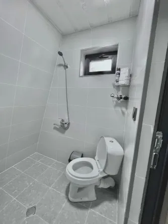 Apartments For Sale seven-room + 160м² 2/2 floor Borzhomi