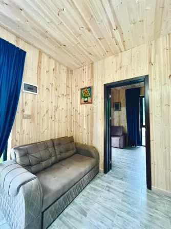 Apartments For Sale seven-room + 160м² 2/2 floor Borzhomi
