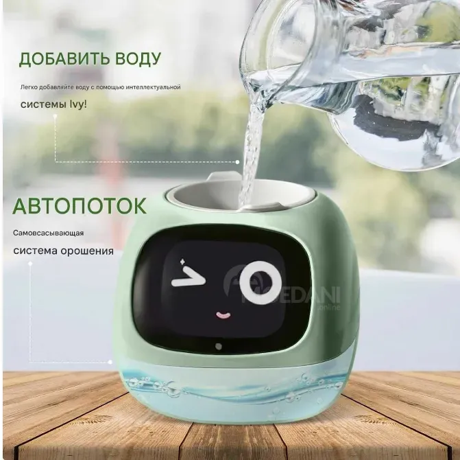 Ivy Plantsio – ჭკვიანი ქოთანი ავტომატური მორწყვით და აპლიკაციით თბილისი - photo 4