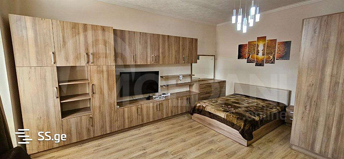 1-room apartment for rent in Saburtalo Tbilisi - photo 4