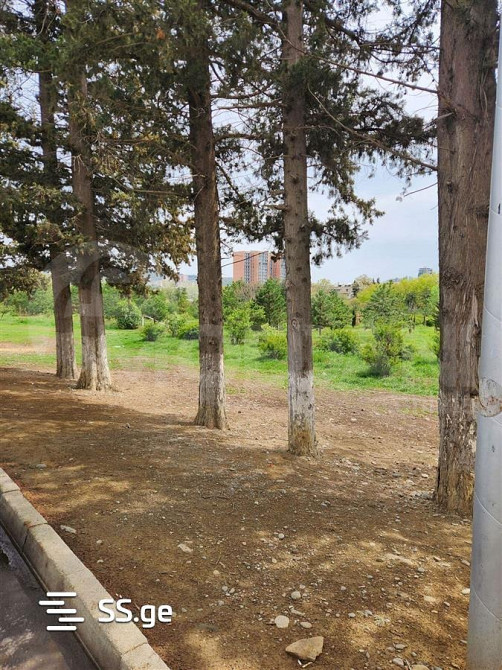 იყიდება 5 ოთახიანი ბინას 160მ² 2/7 სართ თბილისი - photo 4