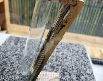 Decorative figure Tbilisi - photo 3