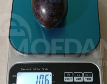 сорта сливы Тбилиси - изображение 3