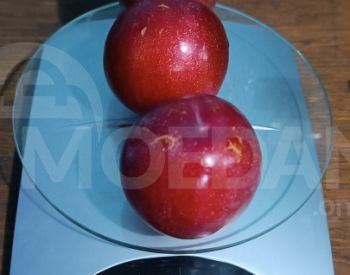 сорта сливы Тбилиси - изображение 4