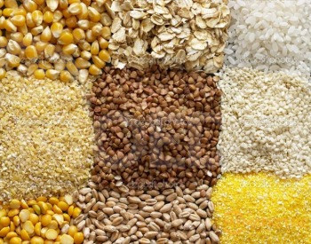 The 3-phase mill grinds everything. Tbilisi - photo 4