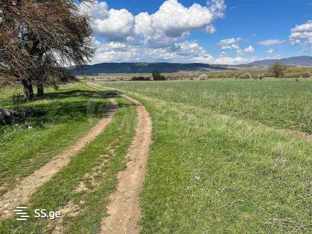 Продам земельный участок 2000м² Тбилиси - изображение 1