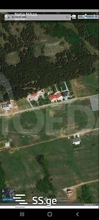 A plot of land in Shindis is for rent Tbilisi - photo 1