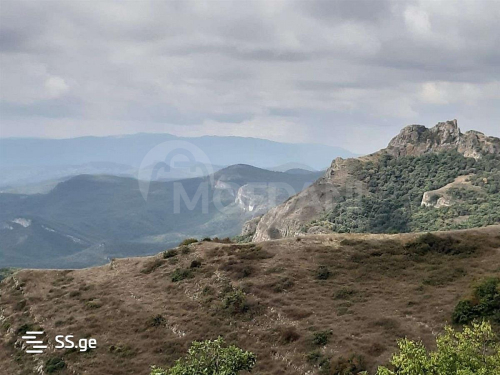 იყიდება მიწის ნაკვეთი 770м² თბილისი - photo 4