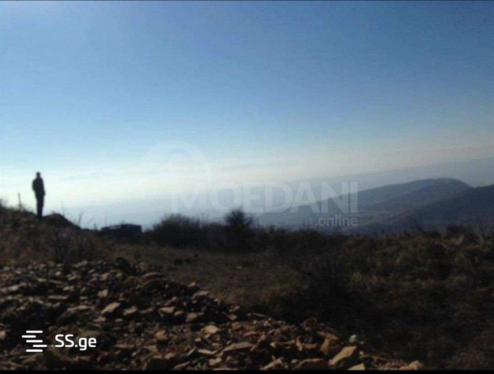 იყიდება მიწის ნაკვეთი 770м² თბილისი - photo 3