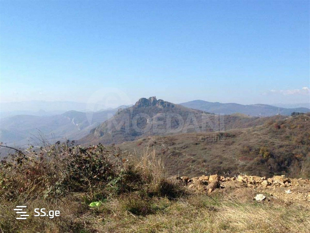 იყიდება მიწის ნაკვეთი 770м² თბილისი - photo 2