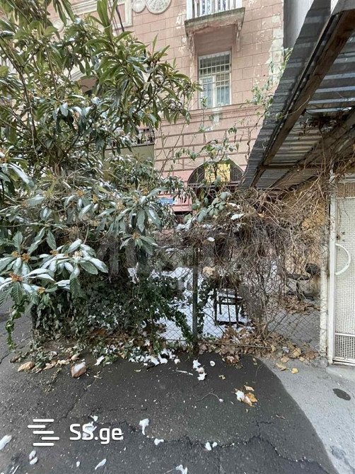 Сдается коммерческое помещение в Ваке Тбилиси - изображение 5