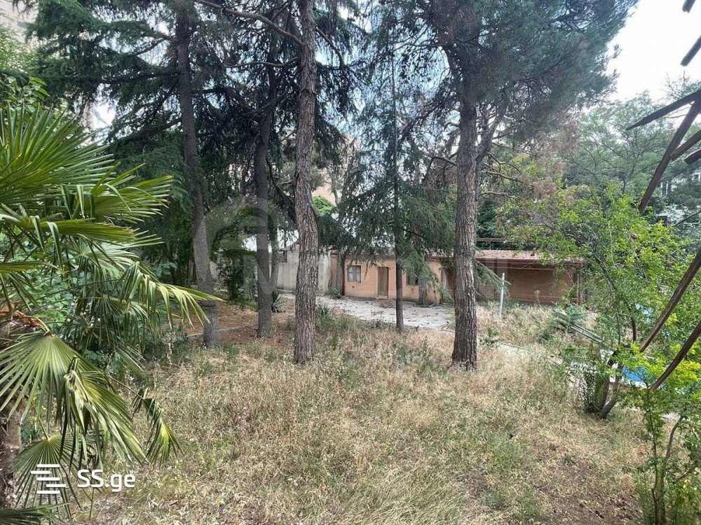 House for sale 1200м² Tbilisi - photo 3
