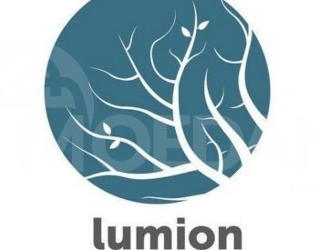 Installing Lumion Pro Tbilisi - photo 1