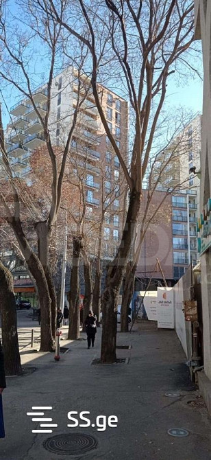 ქირავდება 2 ოთახიანი ბინა 65მ² 11/12 სართ თბილისი - photo 10