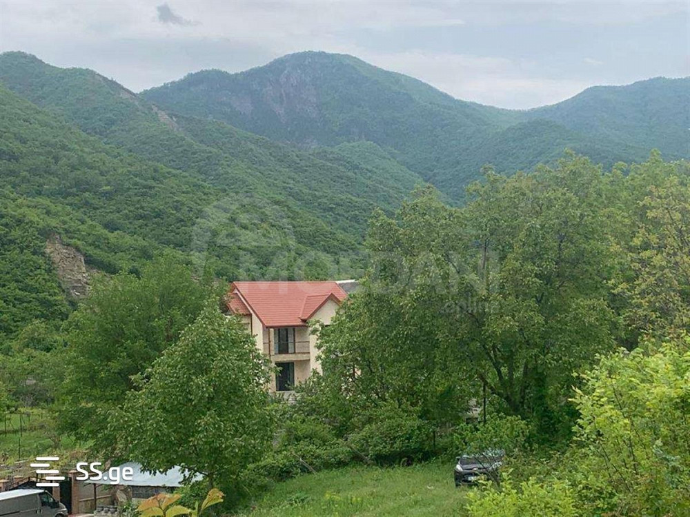 House for sale 800м² Tbilisi - photo 4