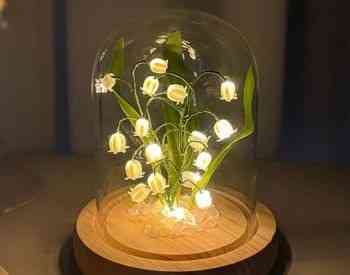 Luminous flowers Tbilisi