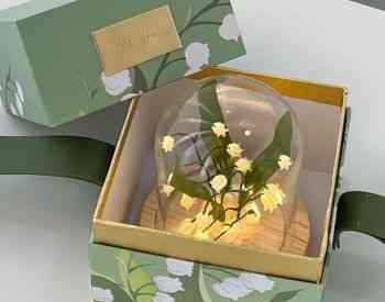 Luminous flowers Tbilisi