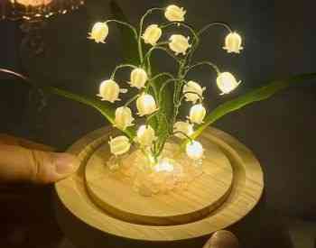 Luminous flowers Tbilisi